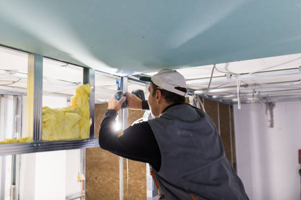 Best Spray Foam Insulation  in Mcswain, CA