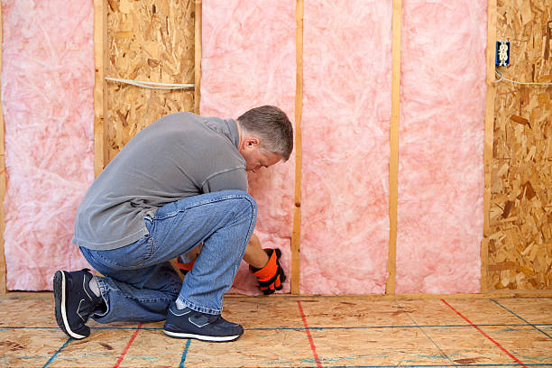 Best Fiberglass Insulation  in Mcswain, CA