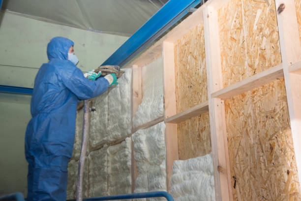 Best Residential Insulation Services  in Mcswain, CA