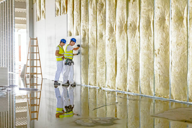 Best Affordable Insulation Services  in Mcswain, CA